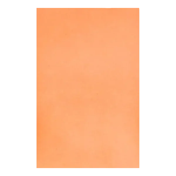 Traypapier 180x280 mm