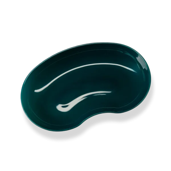 Plastiknierenschale